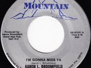 Modern Soul Boogie 45 - Aaron L. Broomfield - Mountain