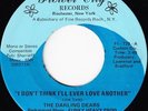 Rare Sweet Soul Funk 45 - Darling Dears - Flower City