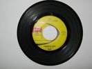 Al and the Untouchables Iowa 60s Surf  7