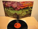 MORNING s/t 1970 US ORIG RURAL PSYCH LP on VAULT MINT-