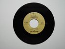 RARE NW garage 45 NOTATIONS Ram Charger CAMELOT 101 