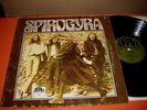 Spirogyra /St.Radigunds-LP-Brain Green-