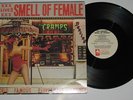 THE CRAMPS-Live Smell of Female Orig 1983 Headcheese US