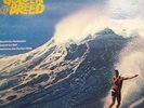 RARE SURF OST LP-Golden Breed-Mike Curb-NEAR MINT VINYL
