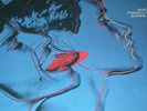 ART COVER ANDY WARHOL QUERELLE ITALY 