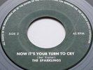 THE SPARKLINGS Turn To Cry KILLER 66 FUZZ GARAGE Listen