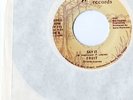 rare modern soul 45 FRUIT 
