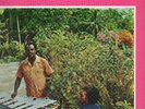 Lennie Hibbert - More Creation - Original Studio 1 LP