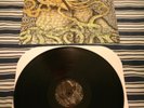 CIRCLE TAKES THE SQUARE as the roots undo LP screamo