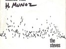 THE STEVES Making Time Synth Punk Minimal Synth Private