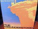 RARE 1966 PSYCH Garage THE MISUNDERSTOOD   The Dream