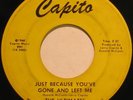 THE ULTIMATES Just Because... RARE SWEET/GROUP SOUL 45