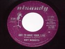 Roy Roberts: Got To Have Your Love 45 - Soul - HEAR IT
