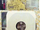 IL LEONE RUGGISCE.LP ISD SKINHEAD NABAT OI VIKING ROCK