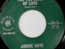 rare Soul 45 JIMMIE RAYE for the sake of love Hear
