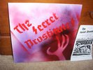 THE SECRET PROSTITUTES LP NO TALK ENERGY MINT PUNK kbd