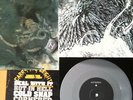 ROT IN HELL WAYFARER split 7