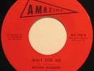 BROWN BOMBERS & SOUL PARTNERS - RARE NORTHERN SOUL 45