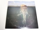 THE MARS VOLTA-DE LOUSED IN THE COMATORIUM-LP/RECORD
