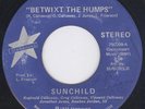 Ohio Funk Jazz   Sunchild   Betwixt The Humps   HEAR