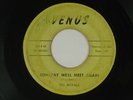 THE ROYALS doo-wop 45 SOMEDAY WE'LL MEET AGAIN   VENUS