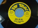 Bobby Watkins & Fire: Soul on Ice/Flight to Cuba