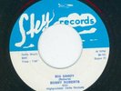 KILLER ROCKABILLY REPRO -- BOBBY ROBERTS BIG SANDY