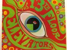 Psychedelic Sounds Of The 13th Floor Elevators LP psych