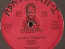VERSE II Positive vibration Aba shanti Rare roots 12