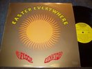The 13th Floor Elevators  