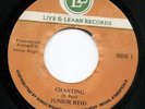 Junior Reid - Chanting - Live & Learn - Roots Reggae
