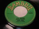 JERRY JONES BAMBOO 65 STILL WATERS  RARE -LISTEN