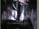 Motley Crue Helter Skelter Picture Disc W/Insert/Poster