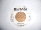 Rare Funk Soul 45: MAGNUM 