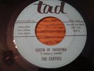 Texas Garage Punk 45: The Exotics 