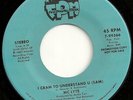 Rap Hip Hop 45 MC LYTE 