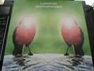 Lungfish Necrophones LP Dischord