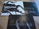 MASSIVE ATTACK 