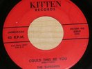 1956 Doo-Wop 45 - THE SUPREMES Could This Be You KITTEN