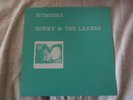 BUNNY & THE LAKERS Numbers LP 1979 minimal synth RARE