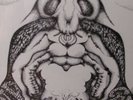 THE ANT TRIP CEREMONY   ACETATE   DARK ACID FOLK PSYCH