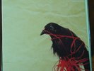 Death Cab for Cutie Transatlanticism LP TEST Signed