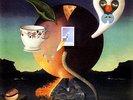 NICK DRAKE PINK MOON 12