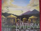 NATURAL ROOTS-SELF TITLED LP-Killer Rare FASIM Lp-Hear