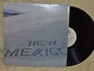 NEW MEXICO s/t PRIVATE modern soul funk shrink NM-/NM-