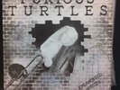 FURIOUS TURTLES- ENDANGERED SPECIES- RARE OZ SKA/ PUNK