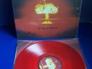Cro Mags - Age Of Quarrel lp RED VINYL / sick of it all