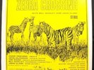 ZEBRA CROSSING/MOSAIC ALBUM Psych Rock LP UK FOLK PROMO