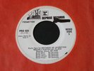 Zappa / Mothers   Weasels RADIO PROMO SPOTS 45 PRO 420