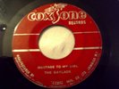 THE GAYLADS -MESSAGE TO MY GIRL 1.st press (SKA) 7